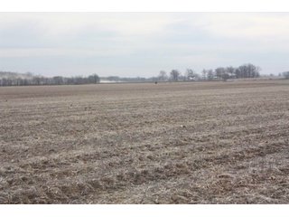 Property photo 2 - MAJOR LAND AUCTION - 541+/- Acres offered in 5 Tracts